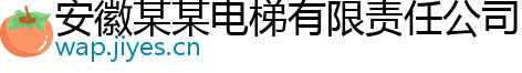 安徽某某电梯有限责任公司